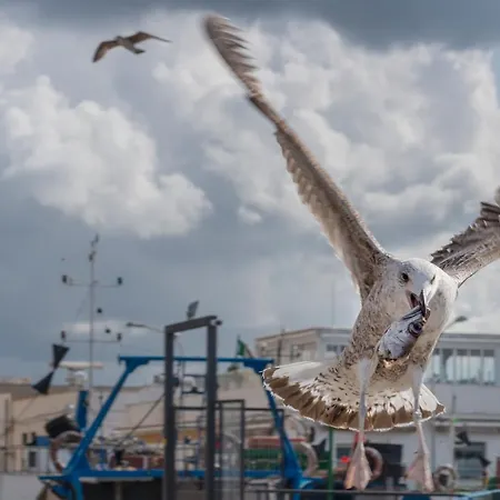 La Caparrita Lejlighed *