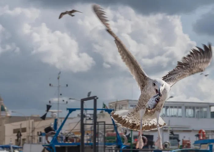 La Caparrita Lejlighed *